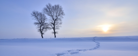 Winter, the ground is covered with snow / Fei Yang, Young777 In winter, the ground is covered with snow ,beautiful outdoor natural scenery.