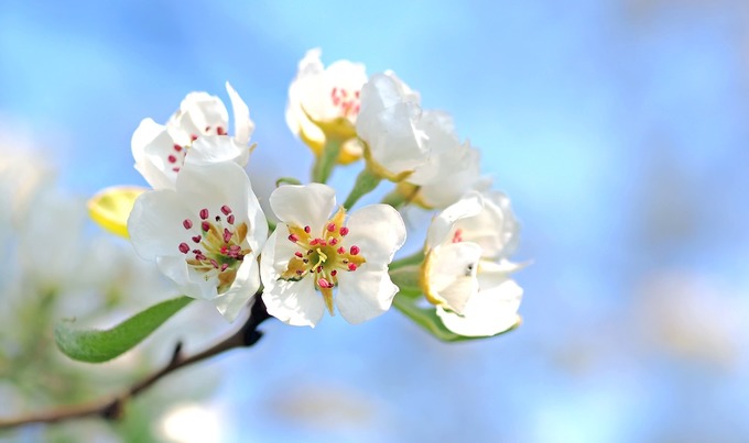 Geschenkte Gegenwart / www.pixabay.at