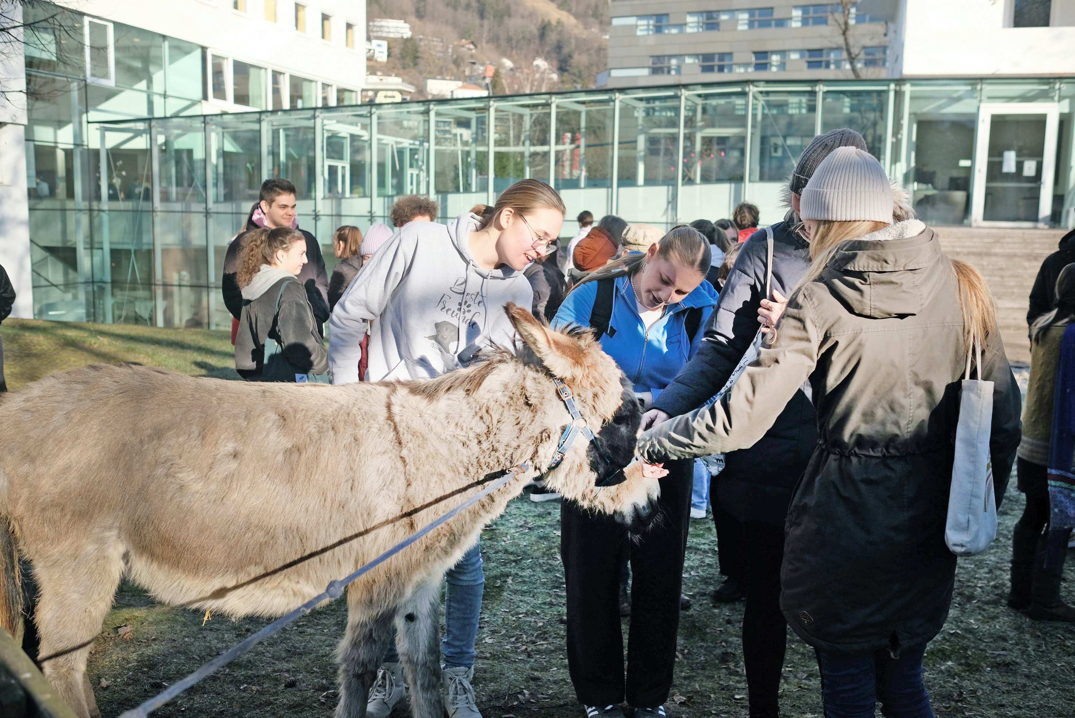 Ein Esel vom Projekt Waldhüttl in Innsbruck war die große Attraktion im Garten des Bildungshauses.