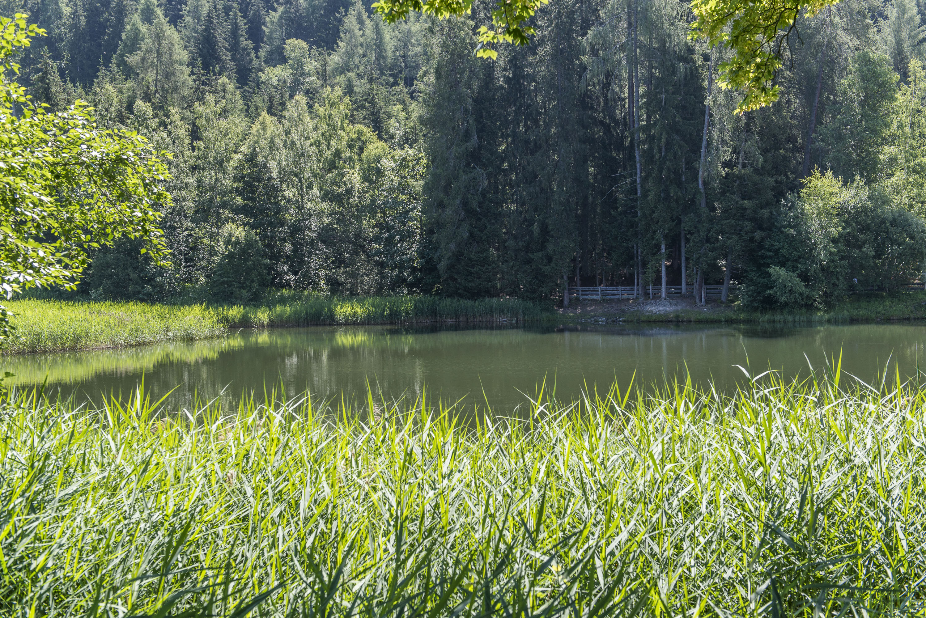 Kraftsee
